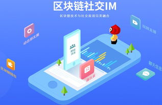 區(qū)塊鏈技術(shù)如何解決即時(shí)通訊系統(tǒng)的開(kāi)發(fā)痛點(diǎn)