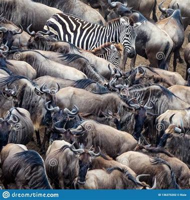 菏澤地區(qū)網(wǎng)絡游戲修改及網(wǎng)絡技術開發(fā)必讀指南